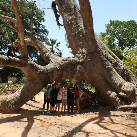 Centre Touristique Et Culturel Casamance Guest House Diakene Ouolof Bagian luar foto