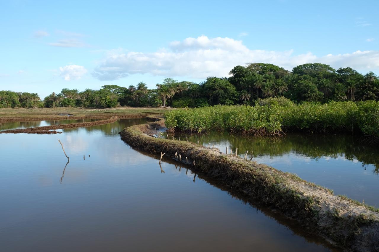 Centre Touristique Et Culturel Casamance Guest House Diakene Ouolof Bagian luar foto